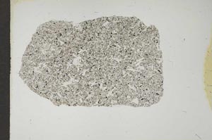 Plane Polarized, S14953