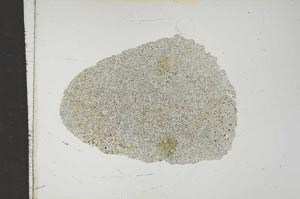 Plane Polarized, S14957