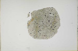 Plane Polarized, S14962