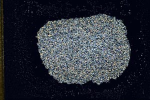 Cross Polarized, S14981