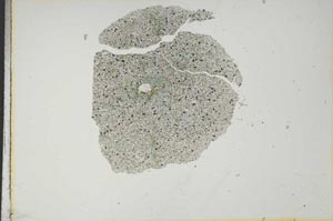 Plane Polarized, S14992