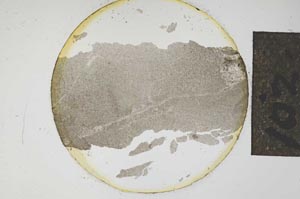 Plane Polarized, S14999