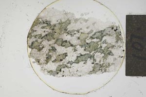 Plane Polarized, S15013