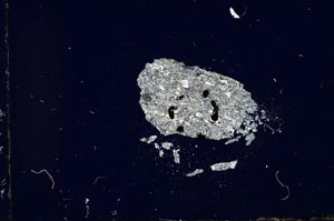 Cross Polarized, S15074