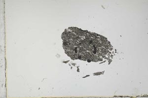 Plane Polarized, S15074