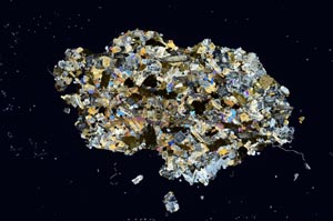 Cross Polarized, S15077