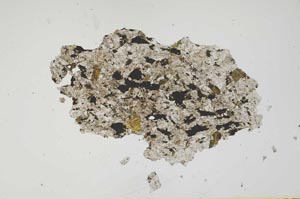 Plane Polarized, S15077