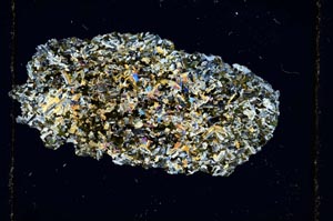 Cross Polarized, S15078/A