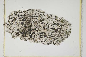 Plane Polarized, S15078/A