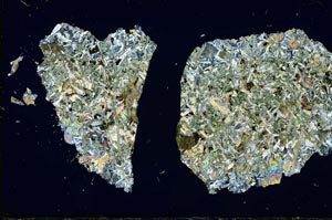 Cross Polarized, S15081