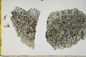 Plane Polarized, S15081