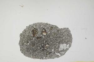 Plane Polarized, S15125