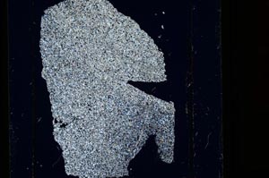 Cross Polarized, S15158