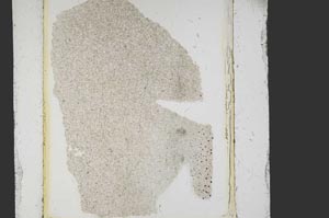 Plane Polarized, S15158