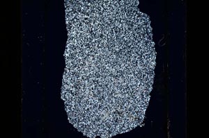 Cross Polarized, S15159