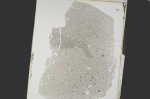 Plane Polarized, S15177