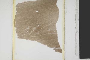 Plane Polarized, S15186
