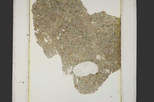 Plane Polarized, S15198