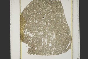 Plane Polarized, S15200