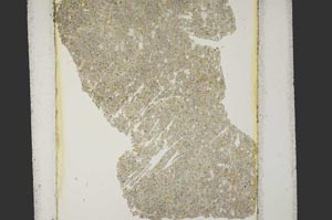 Plane Polarized, S15201