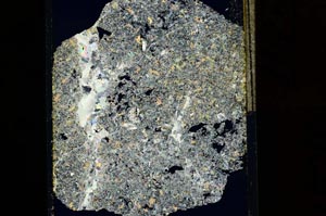 Cross Polarized, S15203