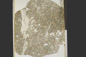 Plane Polarized, S15203