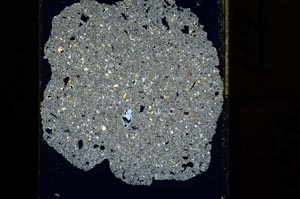 Cross Polarized, S15204