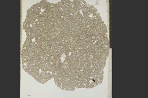 Plane Polarized, S15204