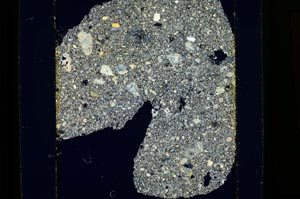 Cross Polarized, S15205