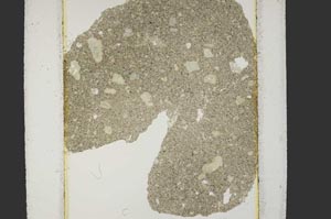 Plane Polarized, S15205