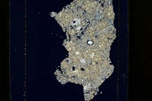 Cross Polarized, S15208