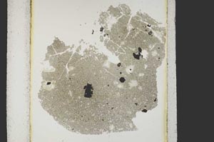 Plane Polarized, S15216
