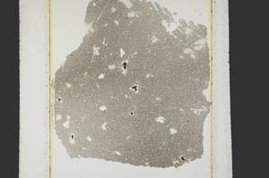 Plane Polarized, S15220