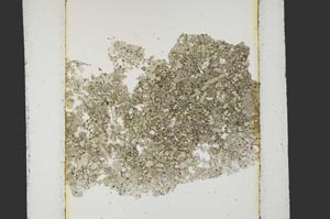 Plane Polarized, S15222