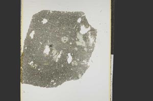 Plane Polarized, S15232