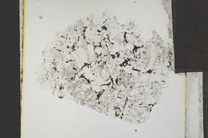 Plane Polarized, S15237