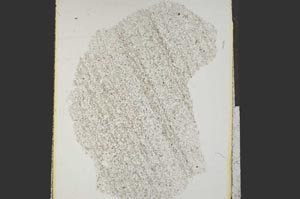 Plane Polarized, S15245