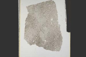 Plane Polarized, S15247