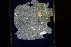 Cross Polarized, S15252