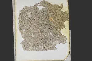 Plane Polarized, S15252