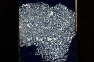 Cross Polarized, S15253