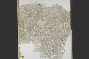 Plane Polarized, S15253