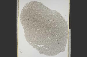 Plane Polarized, S15254