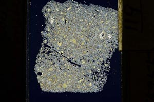 Cross Polarized, S15255