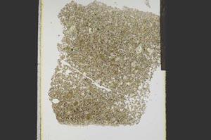 Plane Polarized, S15255