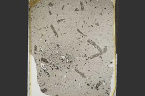 Plane Polarized, S15258