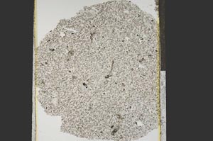Plane Polarized, S15264