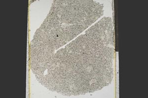 Plane Polarized, S15268