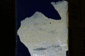 Cross Polarized, S15269