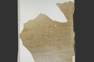 Plane Polarized, S15269